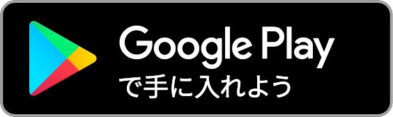 Google Store
